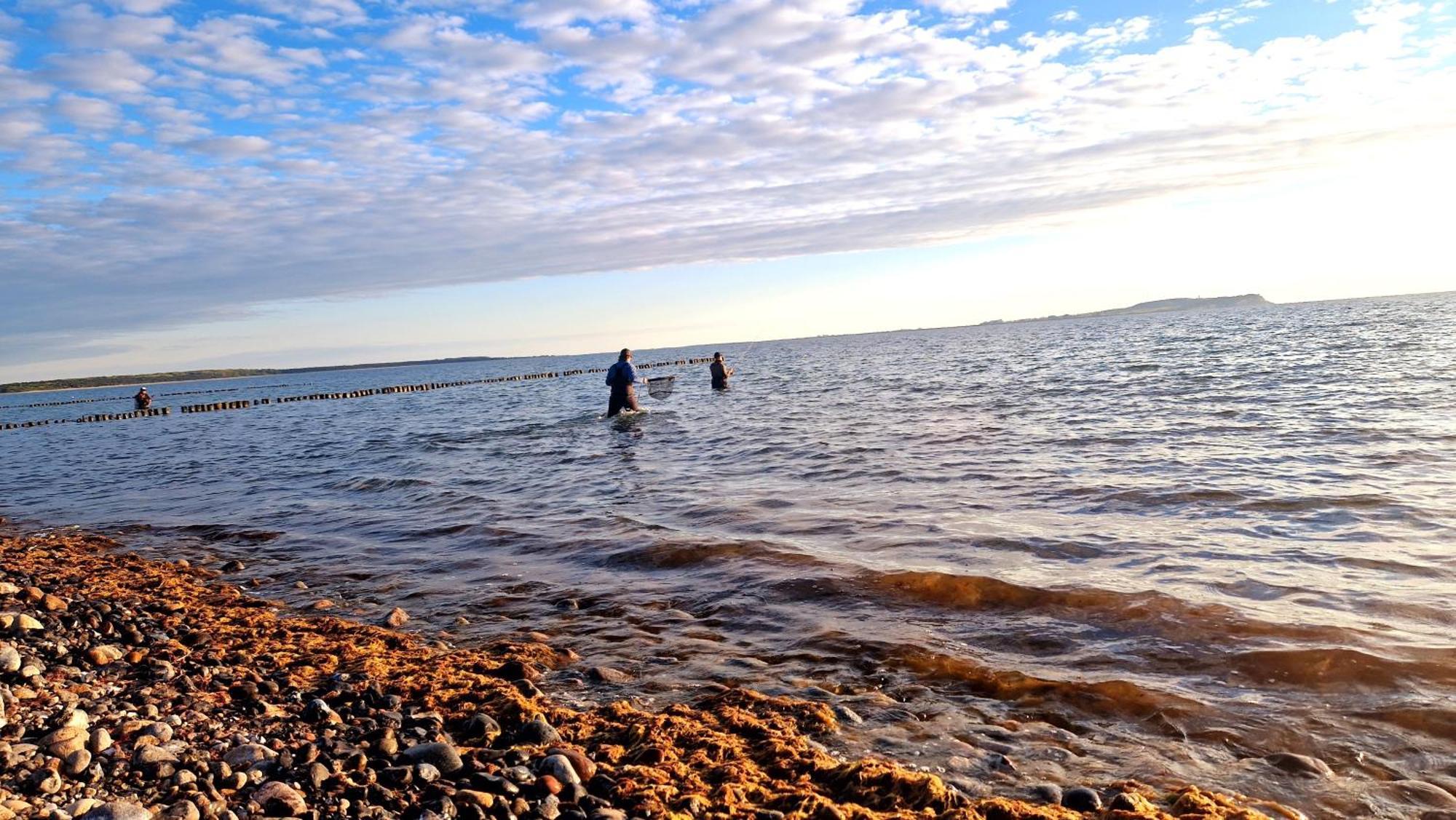 App 7O Kleinertag Am Meer Dranske Exterior foto